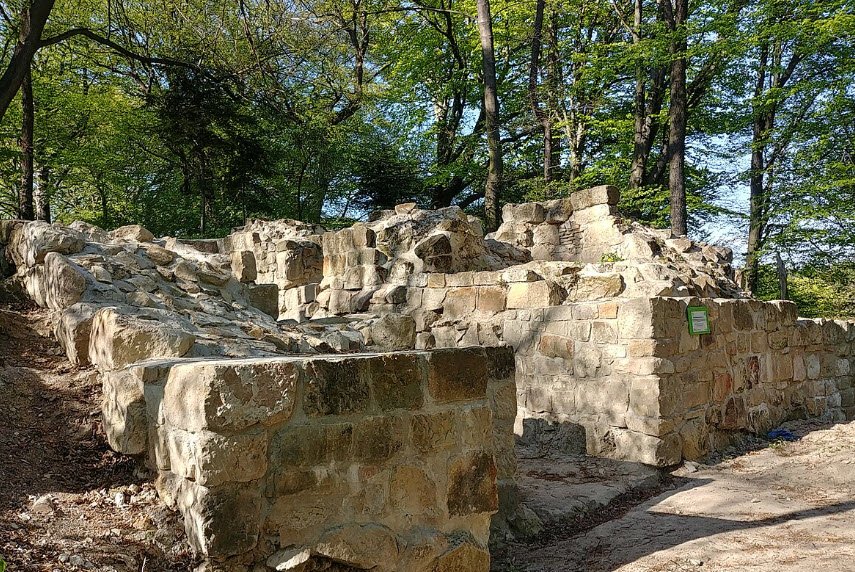Ruiny Zamku Golesz, Poland